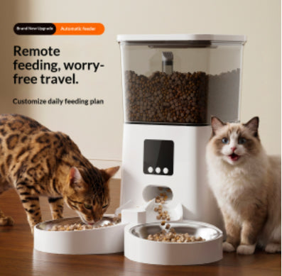 Stuck at Work? How a WiFi Remote-Controlled Smart Feeder Keeps Your Pet Fed and Happy