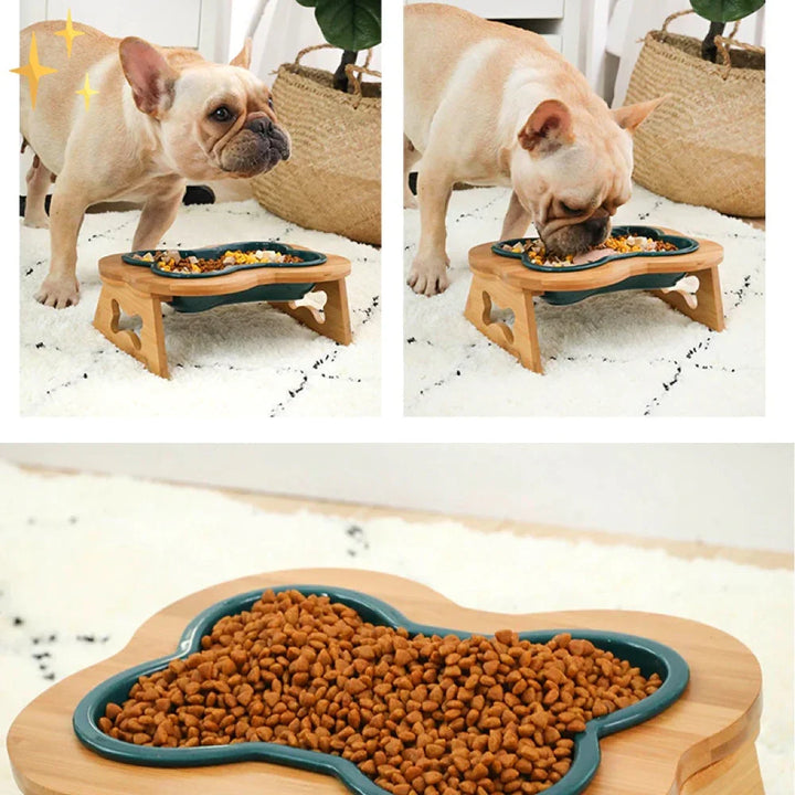 Elevated Ceramic Dog Bowl with Wooden Stand – Paws &amp; Feast