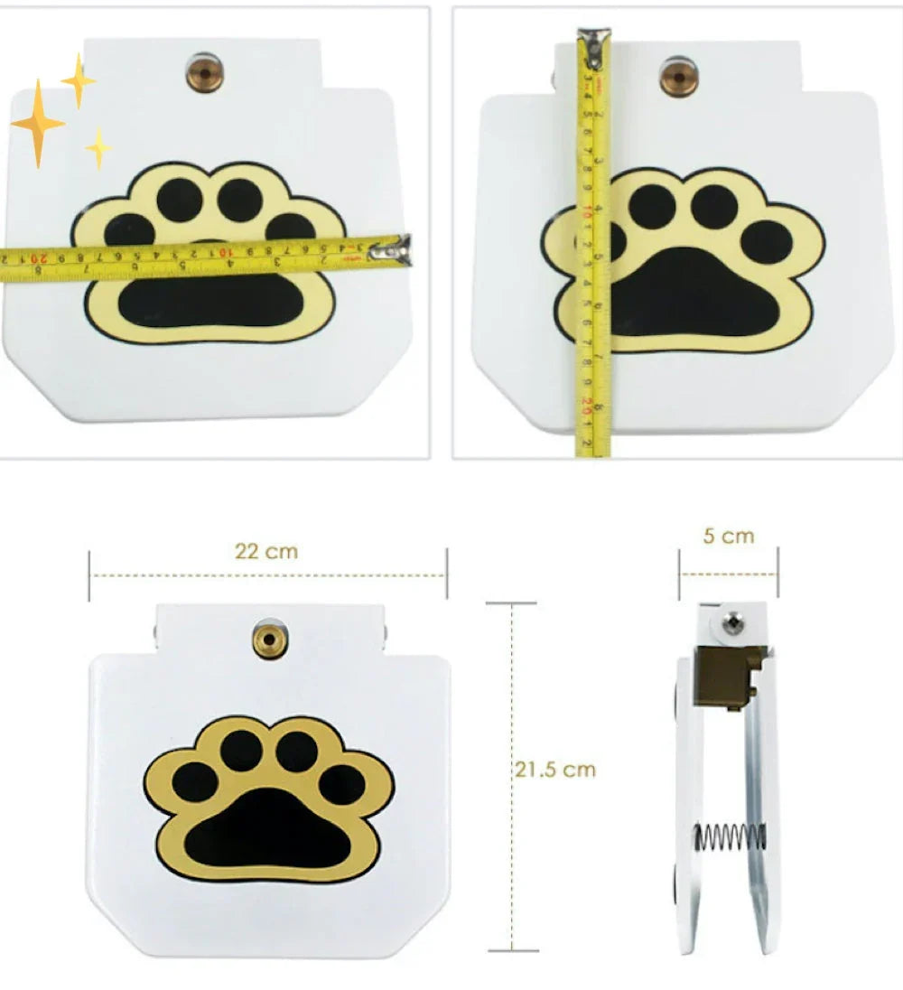 Splash &amp; Play Interactive Dog Water Toy