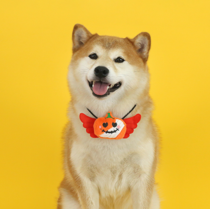 Halloween Pet Bib Collar – Pumpkin, Ghost, Spider &amp; Bat Plush Designs for Cats and Dogs