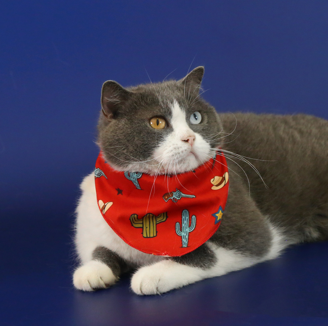 Western Cowboy Pet Hat &amp; Bandana Set