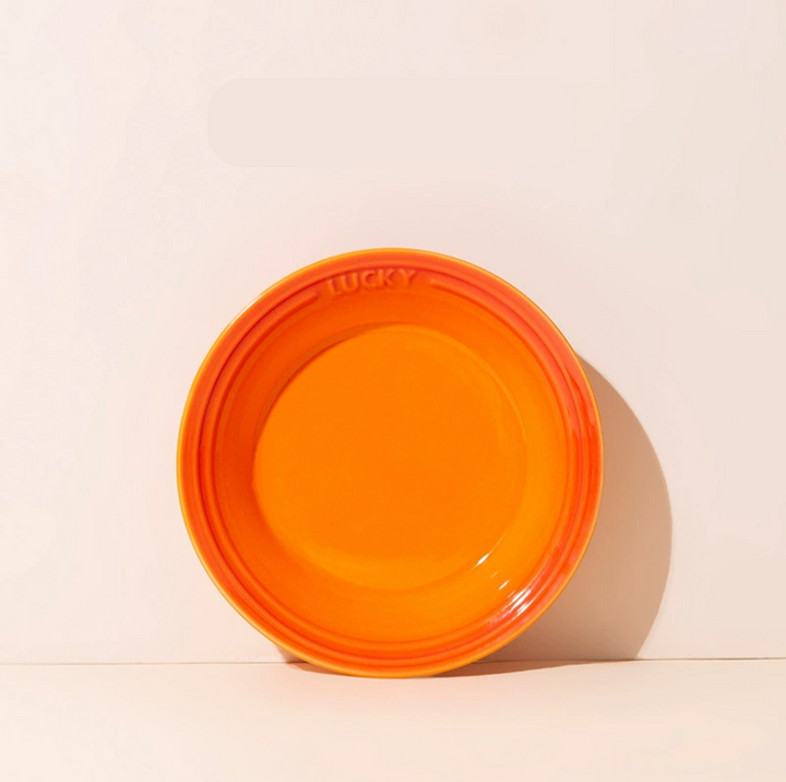Lucky 6-Inch Flat Ceramic Pet Bowl – Multicolour Glazed Plate for Cats &amp; Small Dogs