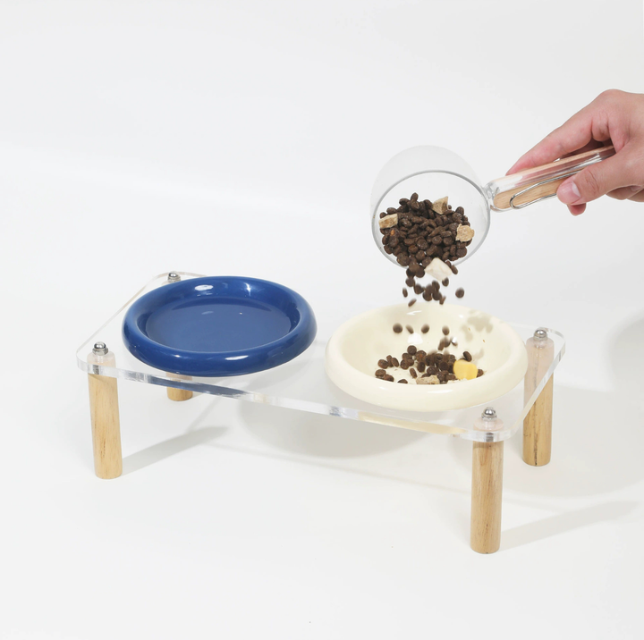 Pop Colour Ceramic Pet Bowl with Elevated Acrylic or Wooden Stand