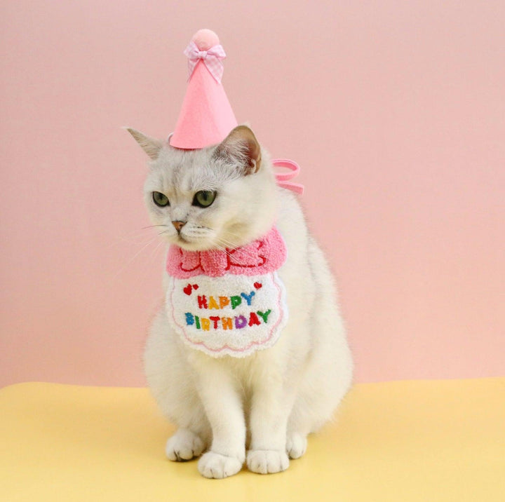 Pet Birthday Ensemble - Embroidered Hat &amp; Bib Accessory Pack