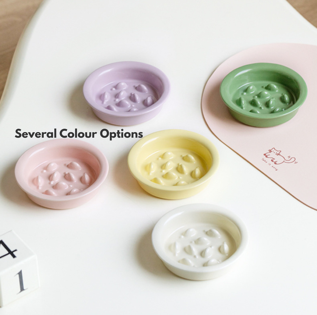 Little Fish Ceramic Slow Feeder Bowl for Cats &amp; Small Dogs