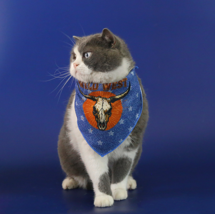 Western Cowboy Pet Hat &amp; Bandana Set