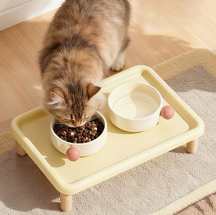 Raised Double Pet Bowl Stand (Bowls Not Included)