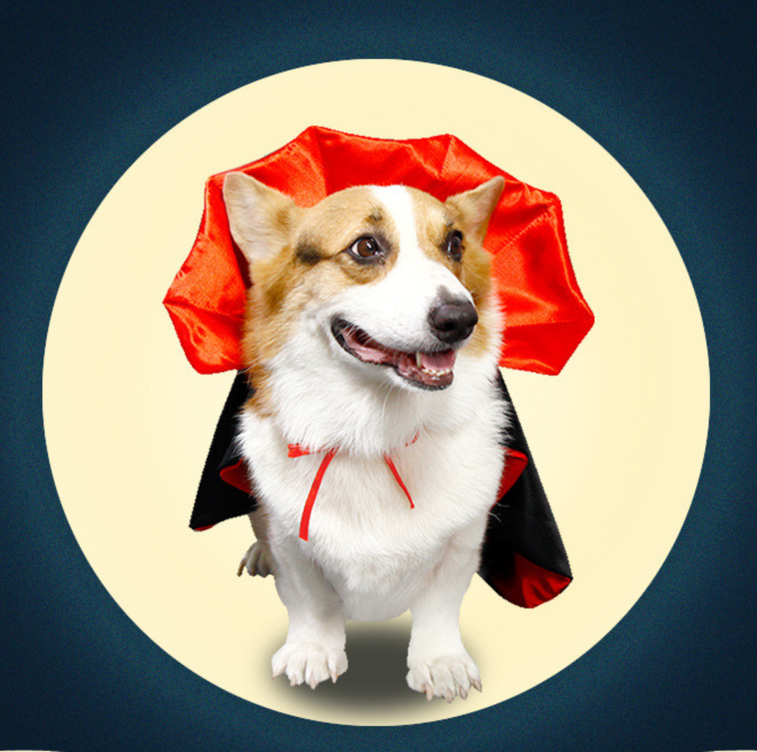 Halloween Vampire Cape for Cats and Dogs