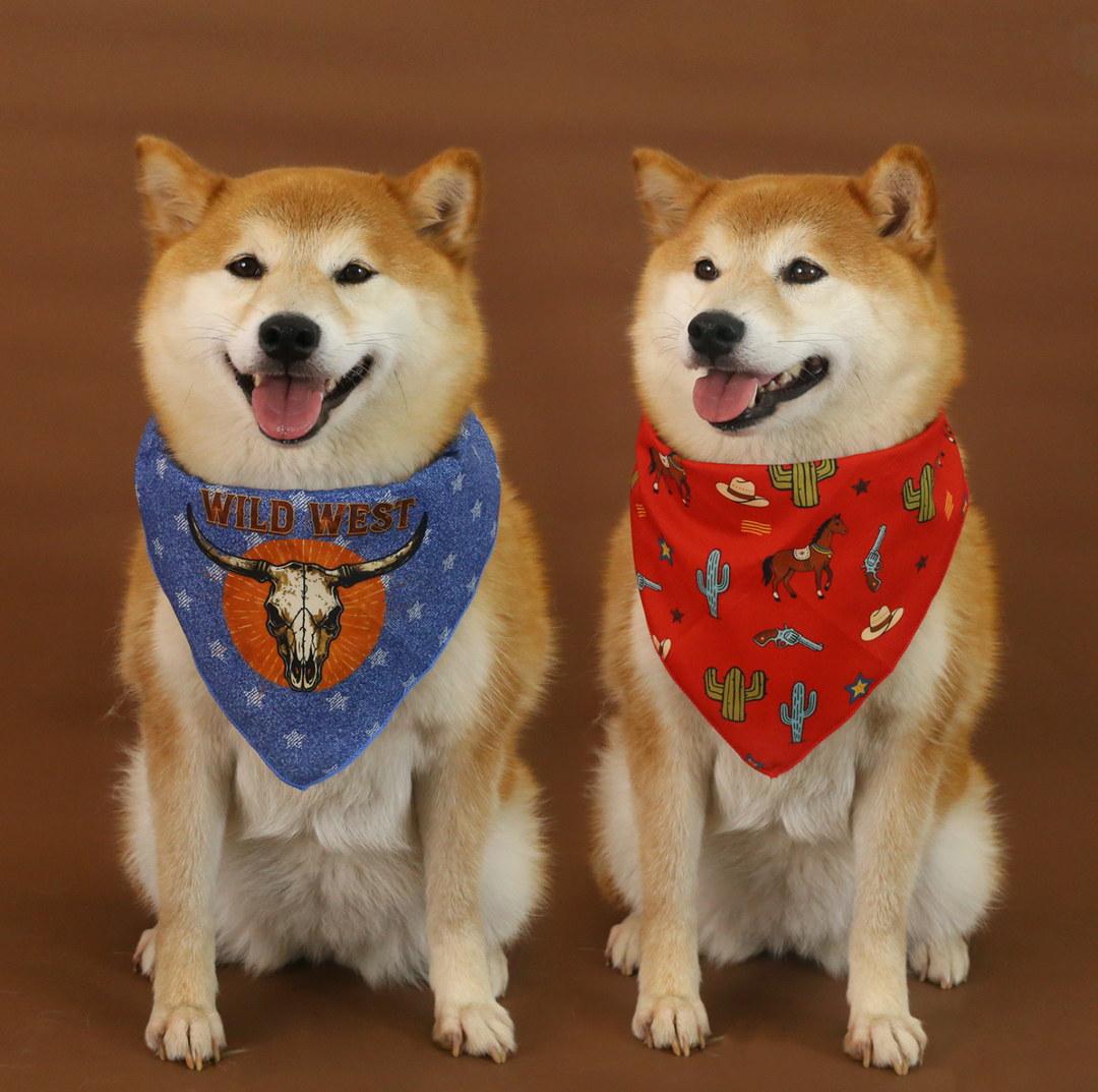 Western Cowboy Pet Hat &amp; Bandana Set
