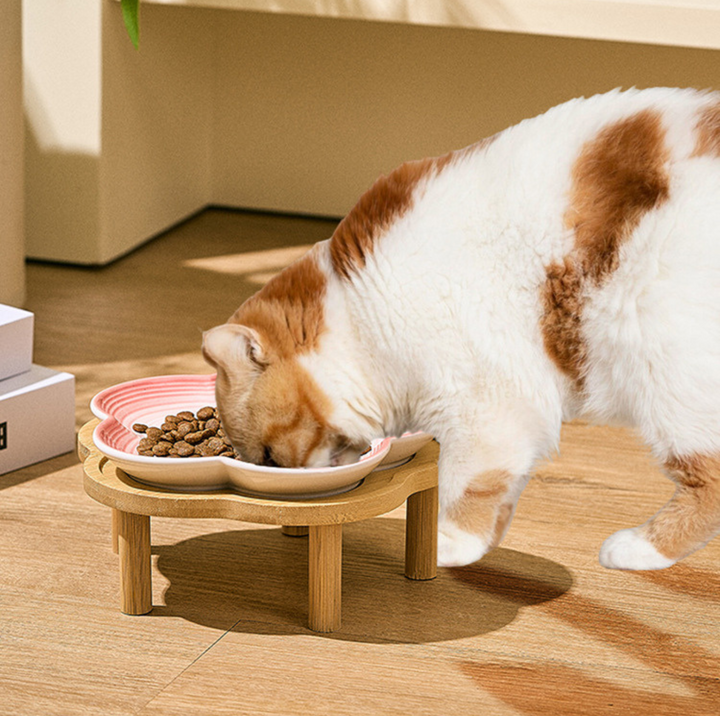 Plum Blossom-Shaped Ceramic Pet Bowl