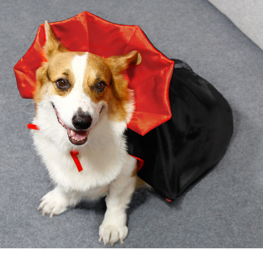 Halloween Vampire Cape for Cats and Dogs