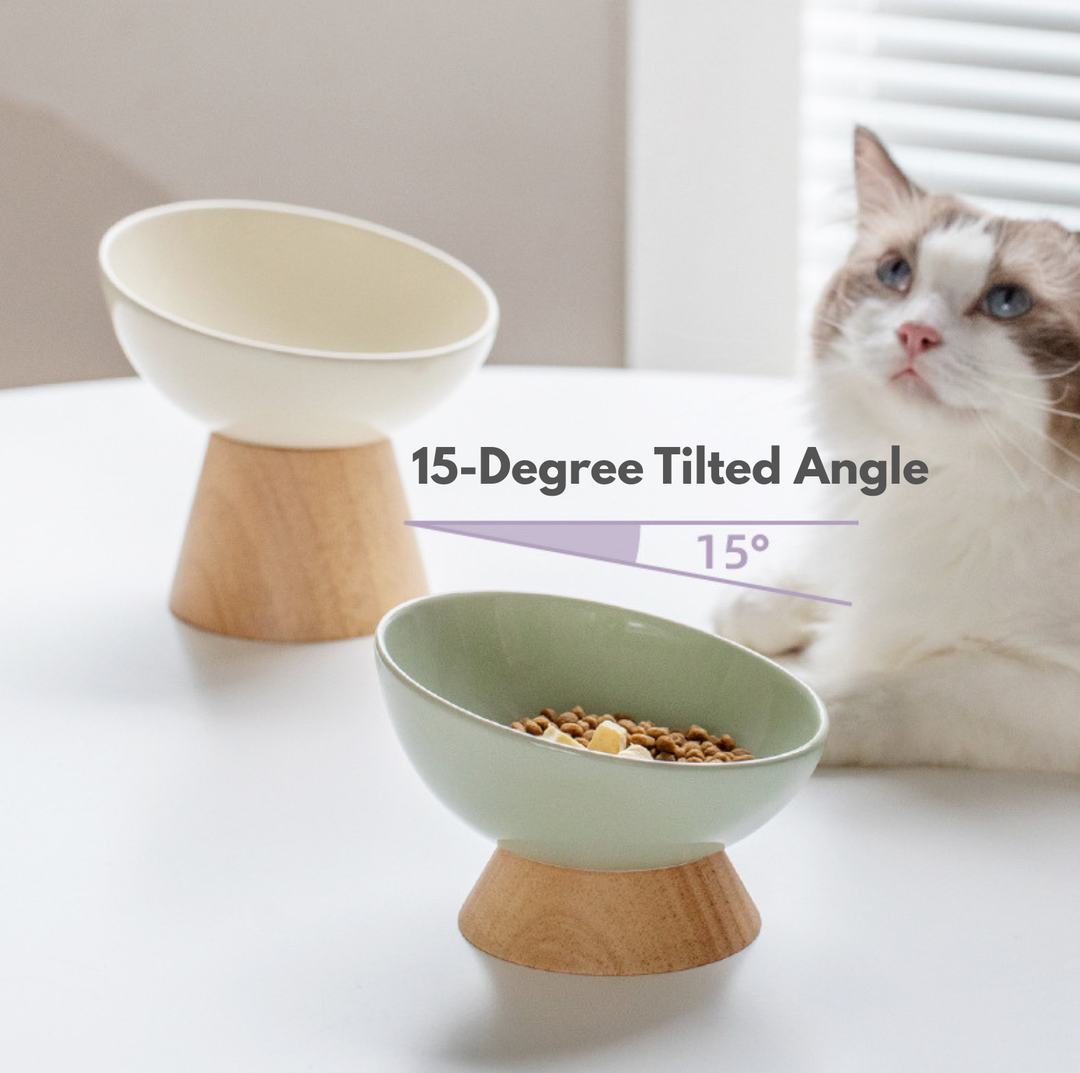 Elevated Round Ceramic Pet Bowl with Oak Base