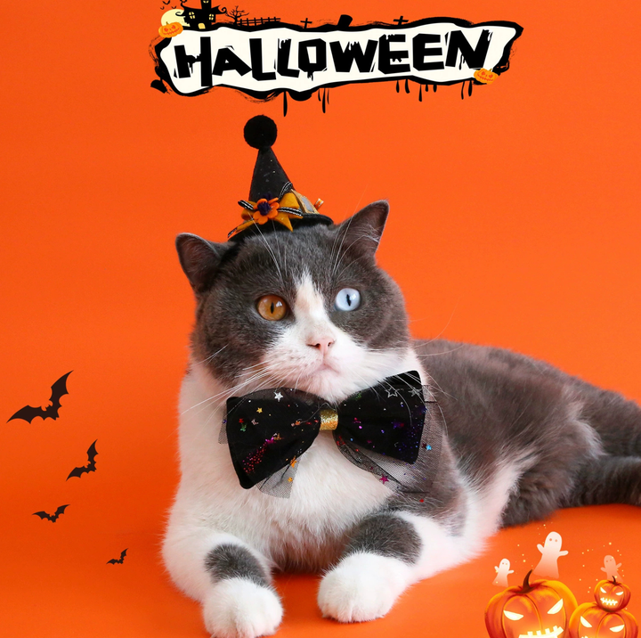 Halloween Witch Hat &amp; Velvet Bow Tie Set for Cats and Small Dogs