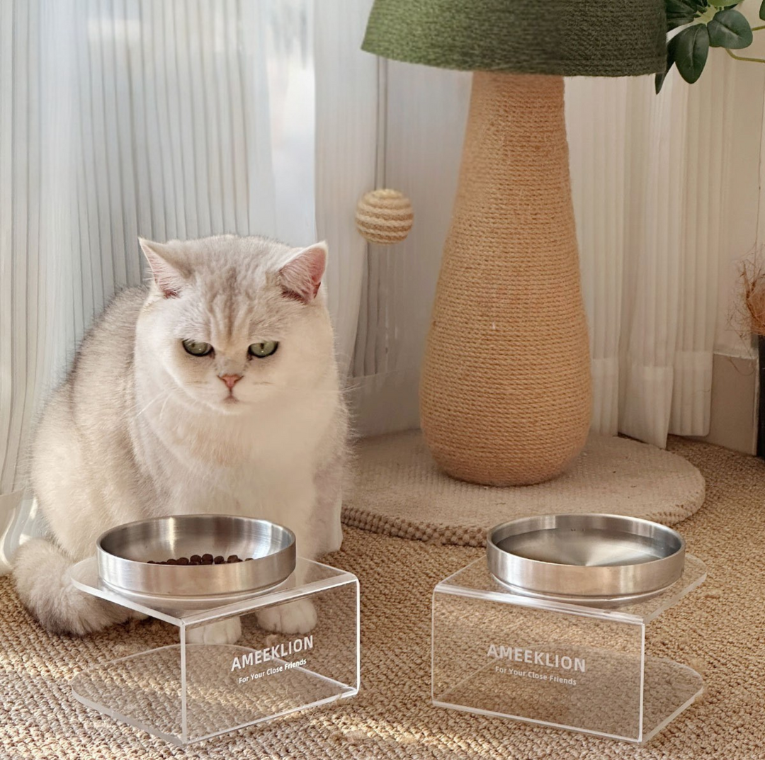 304 Stainless Steel Pet Food Bowl with Clear Acrylic Stand