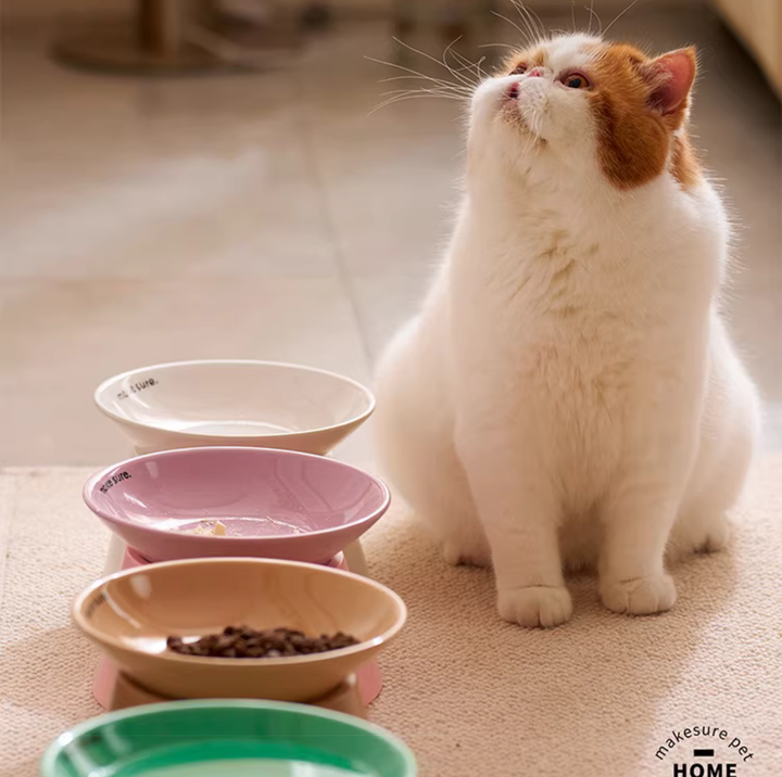 Makesure Tawa Elevated Ceramic Pet Bowl
