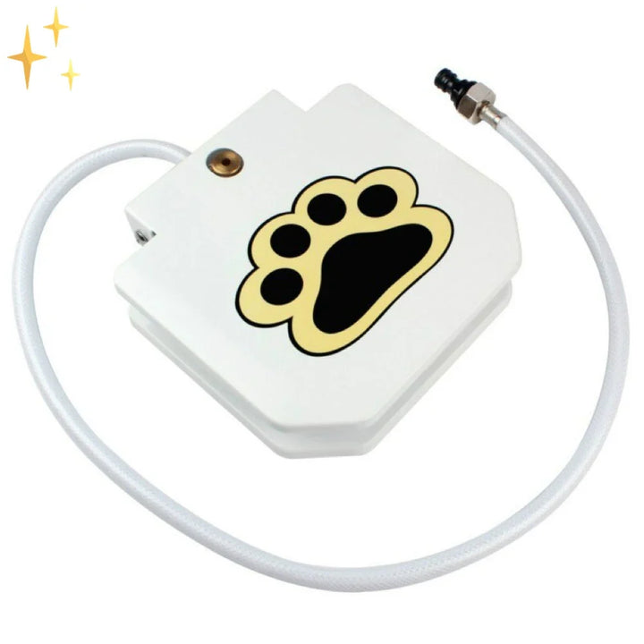 Splash &amp; Play Interactive Dog Water Toy