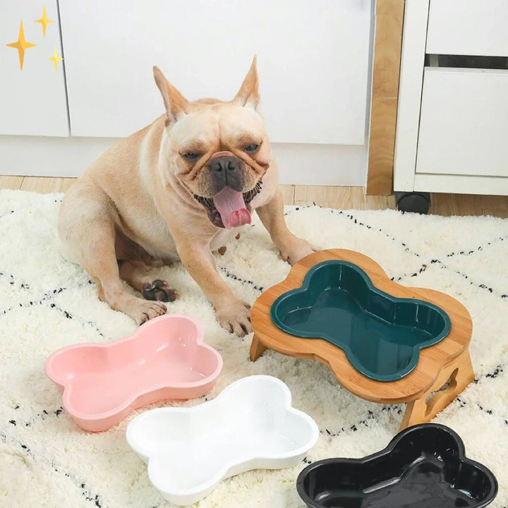 Elevated Ceramic Dog Bowl with Wooden Stand – Paws &amp; Feast