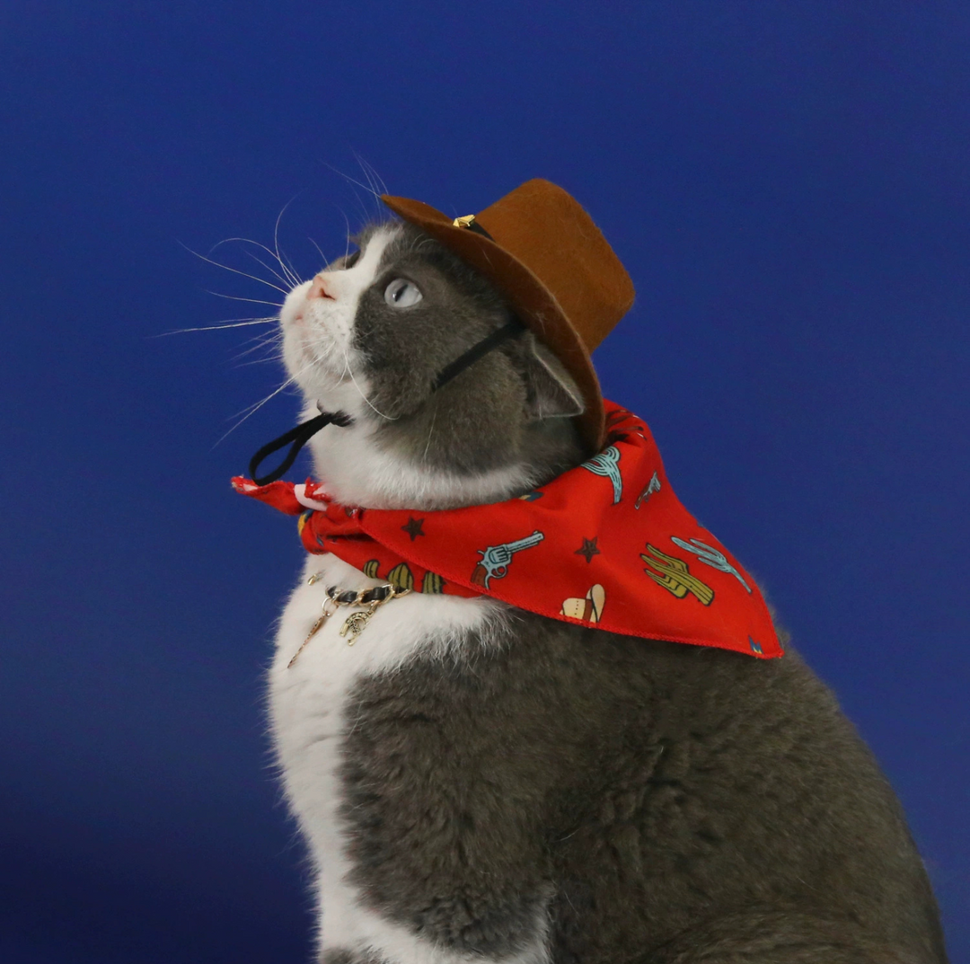 Western Cowboy Pet Hat &amp; Bandana Set