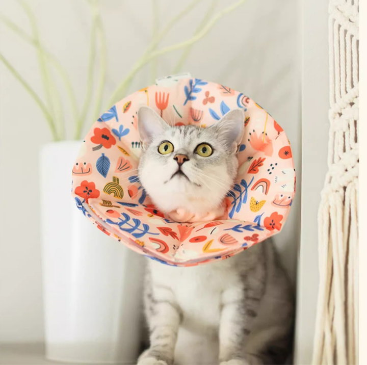 Soft Multi-Use E-Collar for Cats &amp; Small Dogs