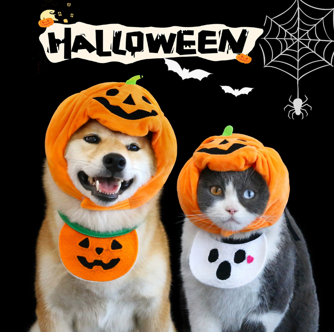 Halloween Pumpkin Hat &amp; Ghost Bib Set for Cats and Dogs