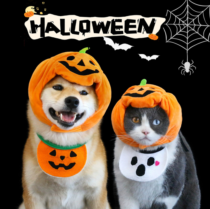 Halloween Pumpkin Hat &amp; Ghost Bib Set for Cats and Dogs