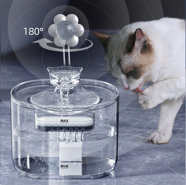 2.2L Transparent Pet Water Fountain with Dual Flow Mode