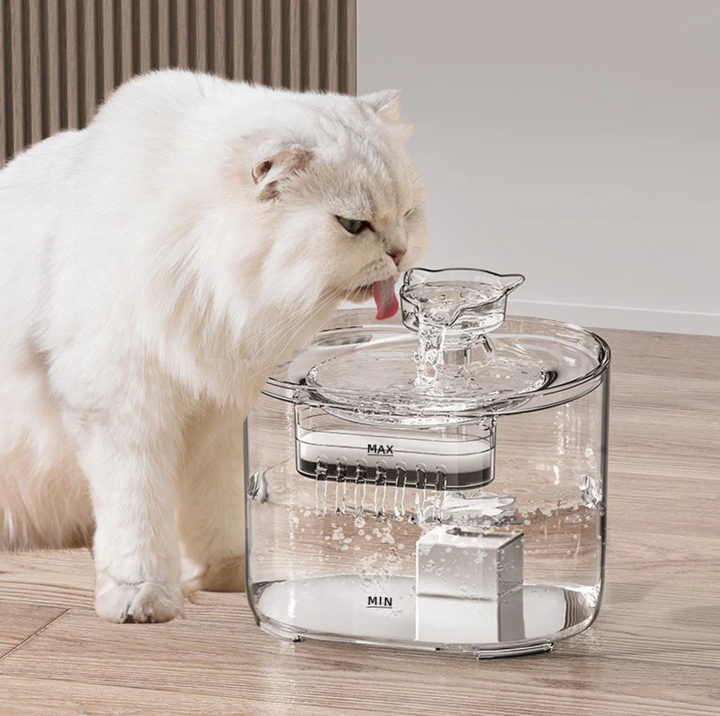 2.2L Transparent Pet Water Fountain with Dual Flow Mode