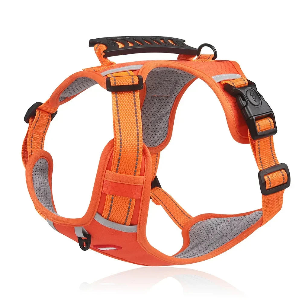 NoPull Dog Harness – WalkEase