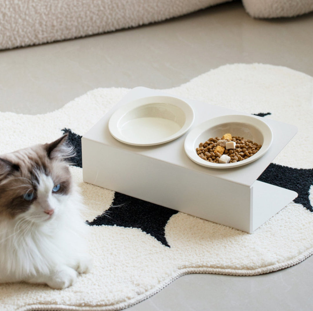 Ceramic Double Pet Bowl with Tilted Iron Stand