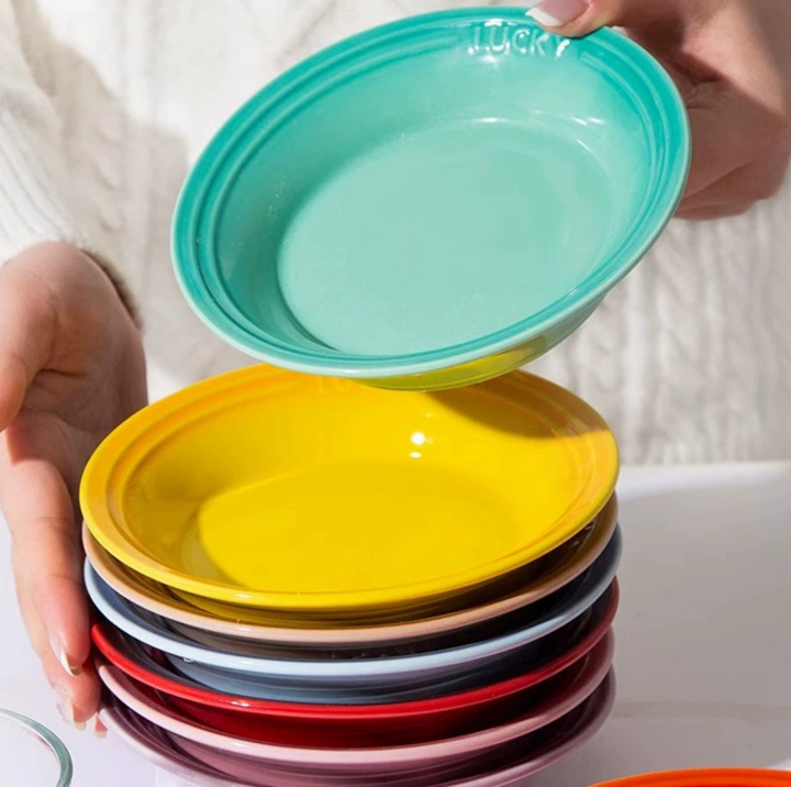 Lucky 6-Inch Flat Ceramic Pet Bowl – Multicolour Glazed Plate for Cats &amp; Small Dogs