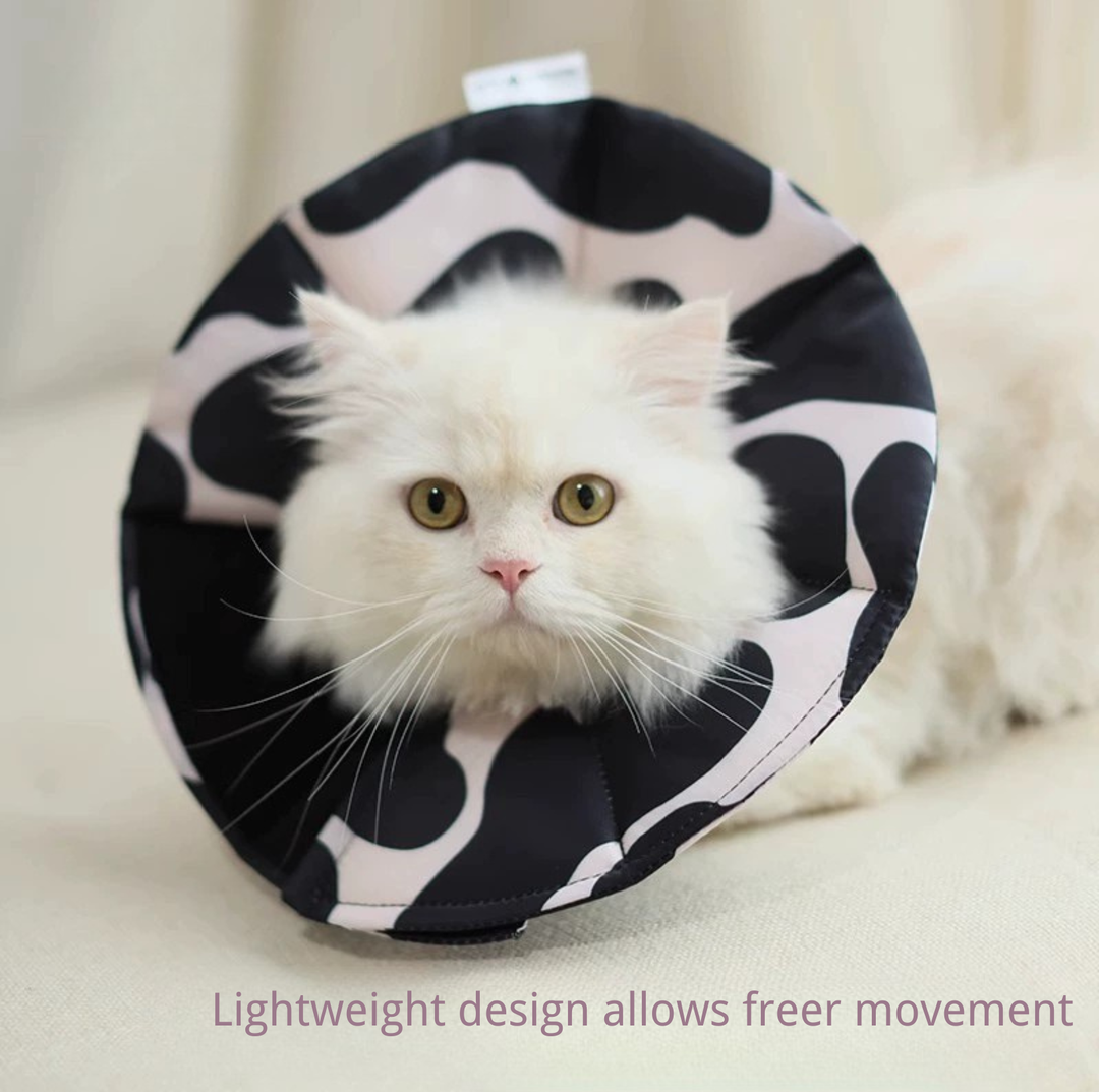 Soft Multi-Use E-Collar for Cats &amp; Small Dogs