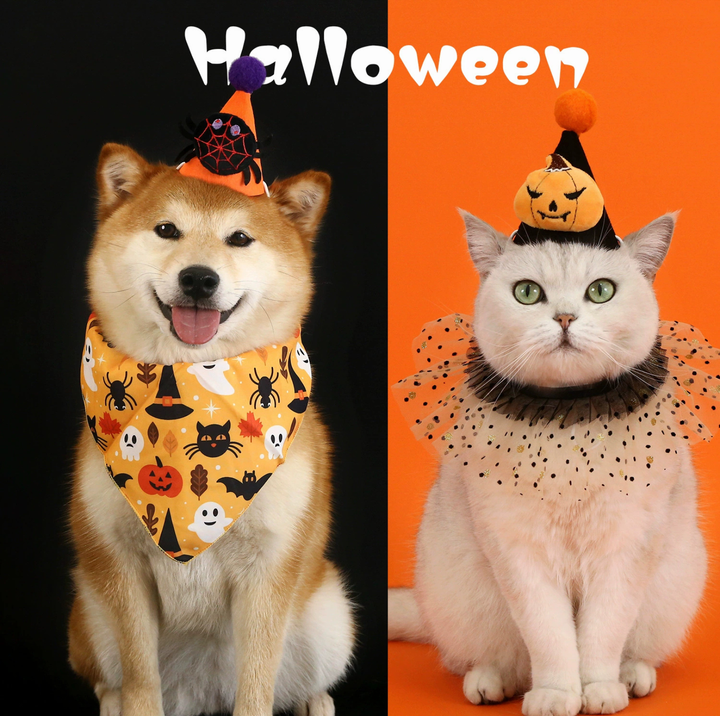Halloween Pumpkin &amp; Spider Hat for Cats and Dogs
