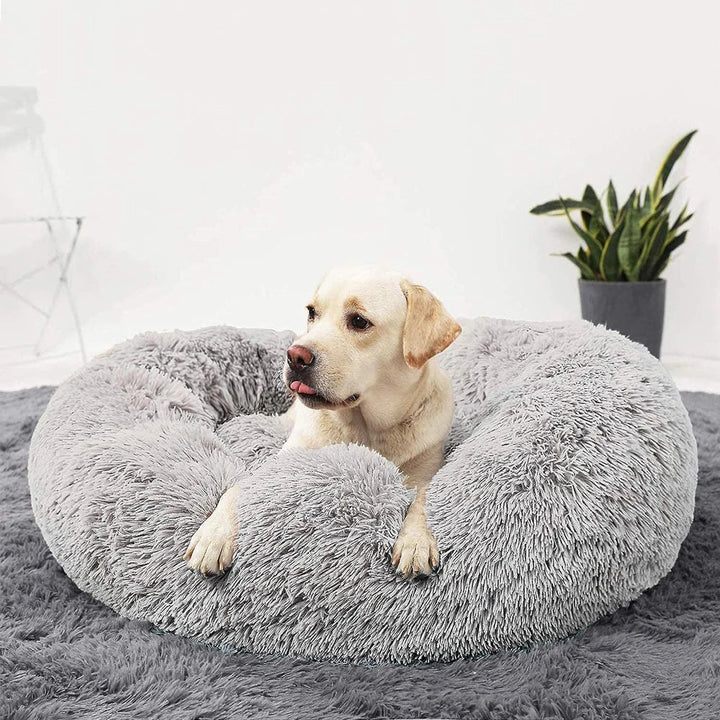 Premium Dog Bed