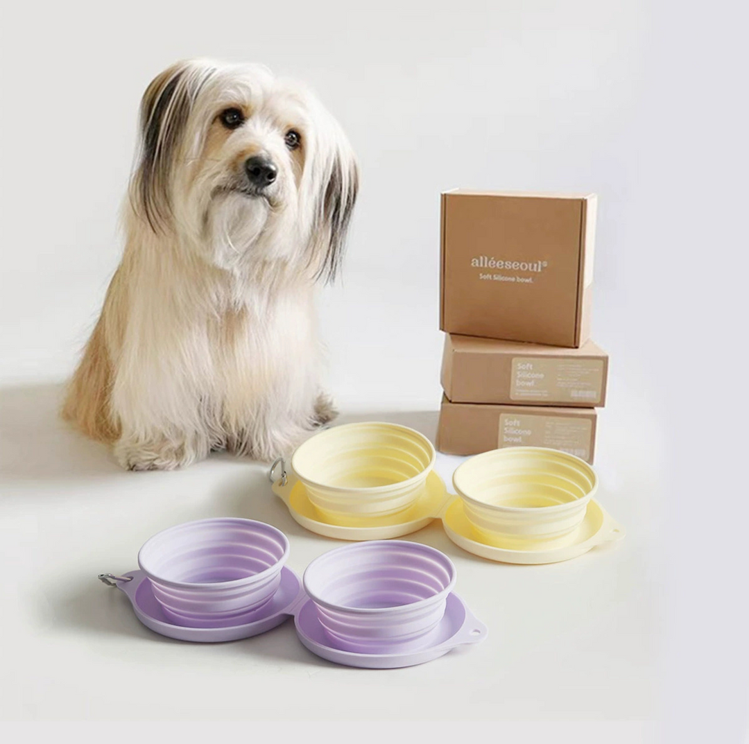 Silicone Foldable Double Pet Feeding Bowl - Portable &amp; Travel-Friendly