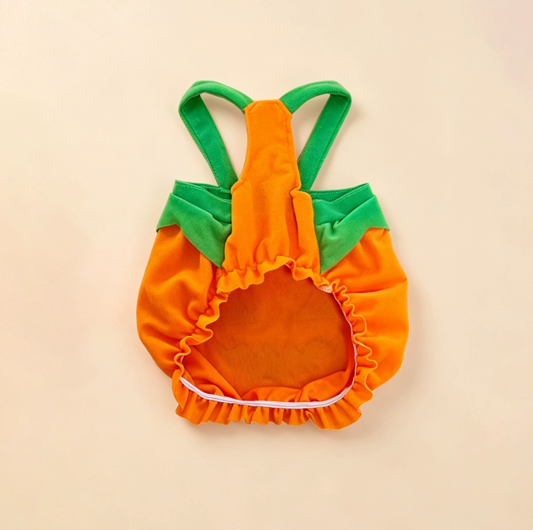 Halloween Pumpkin Pet Costume with Shoulder Straps