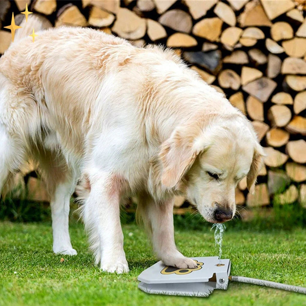 Splash &amp; Play Interactive Dog Water Toy