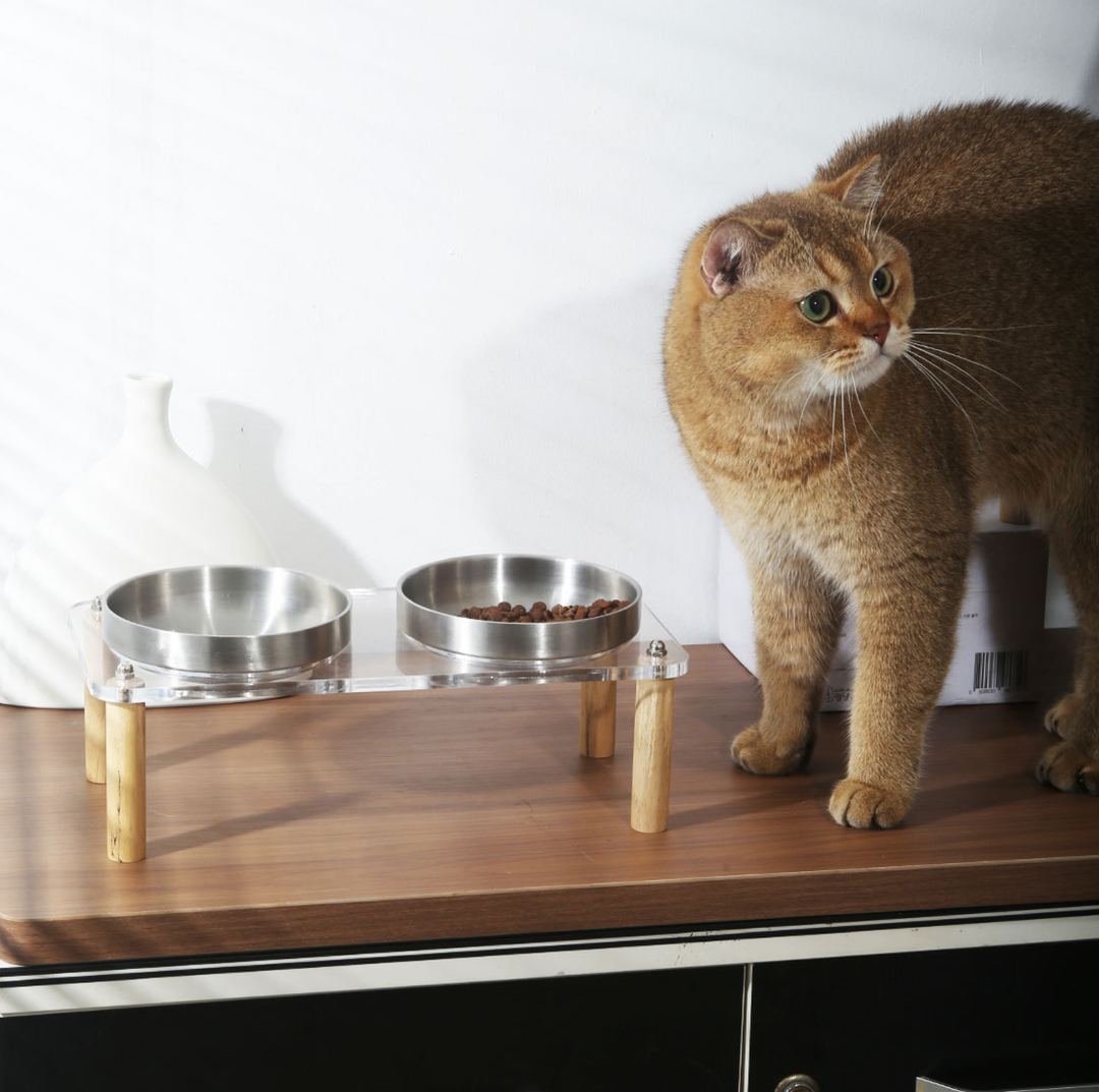 304 Stainless Steel Pet Food Bowl With Acrylic &amp; Wood Stand