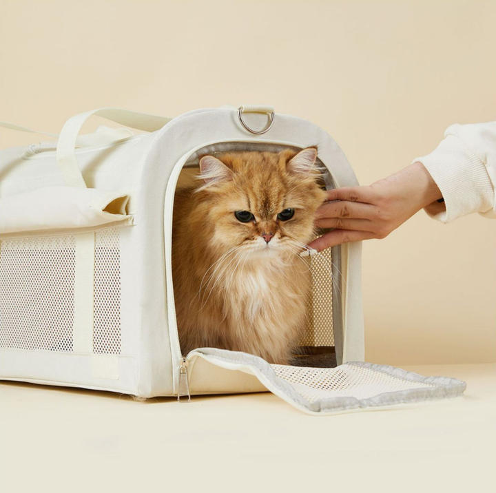 Oxford Dome Pet Travel Carrier with Side Opening for Cats &amp; Small Dogs