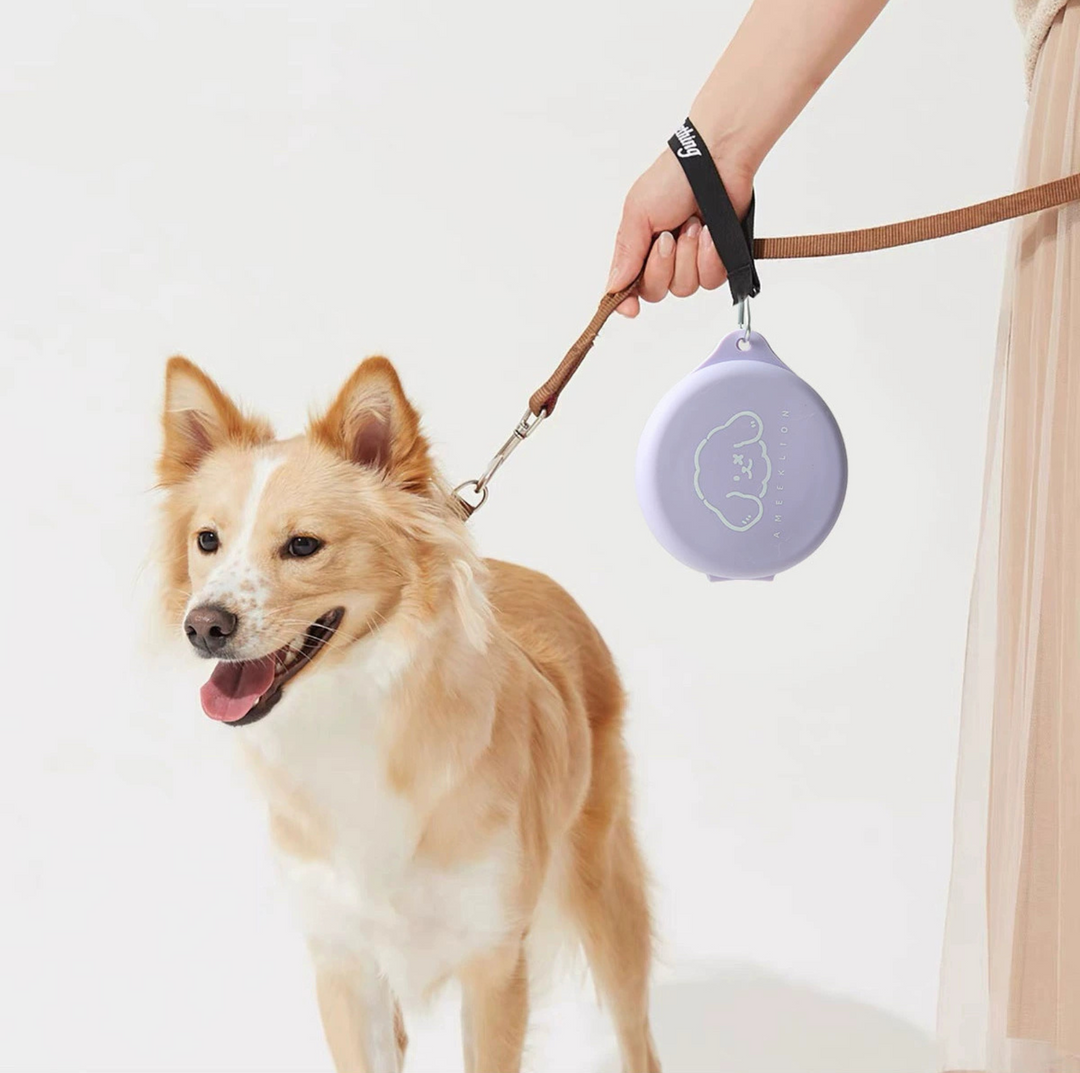 Silicone Foldable Double Pet Feeding Bowl - Portable &amp; Travel-Friendly