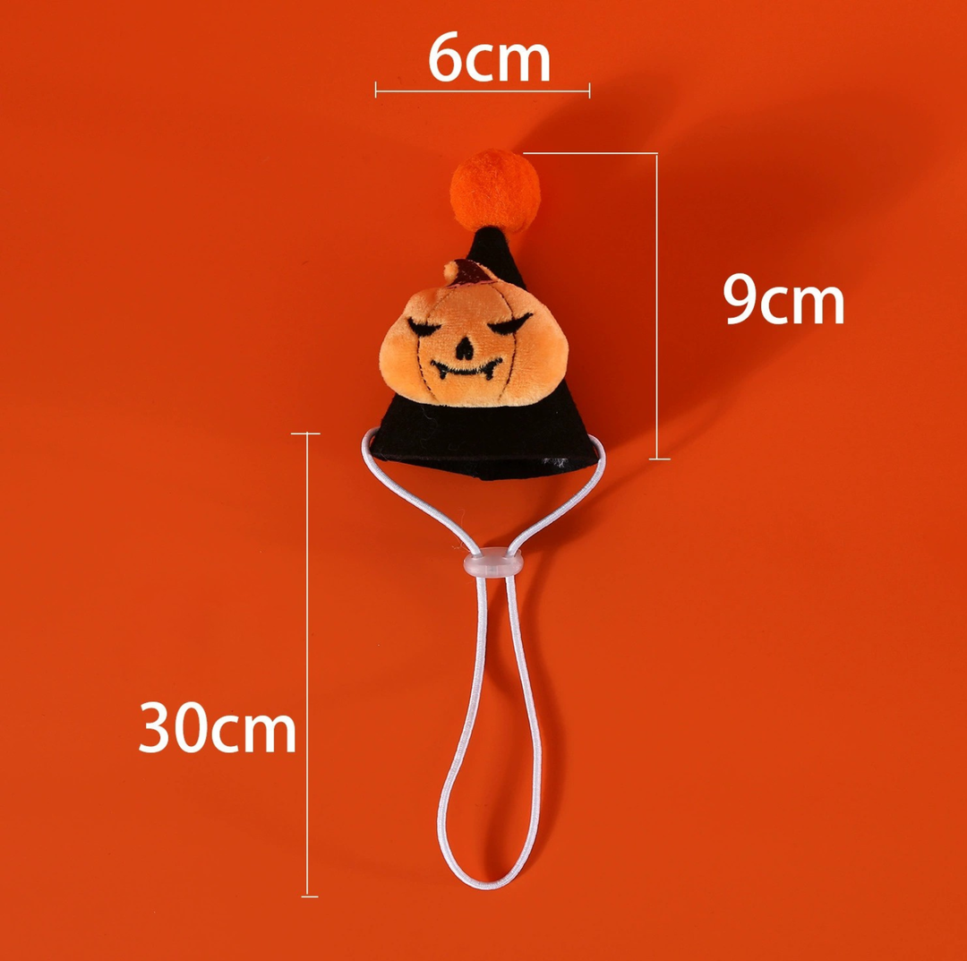 Halloween Pumpkin &amp; Spider Hat for Cats and Dogs