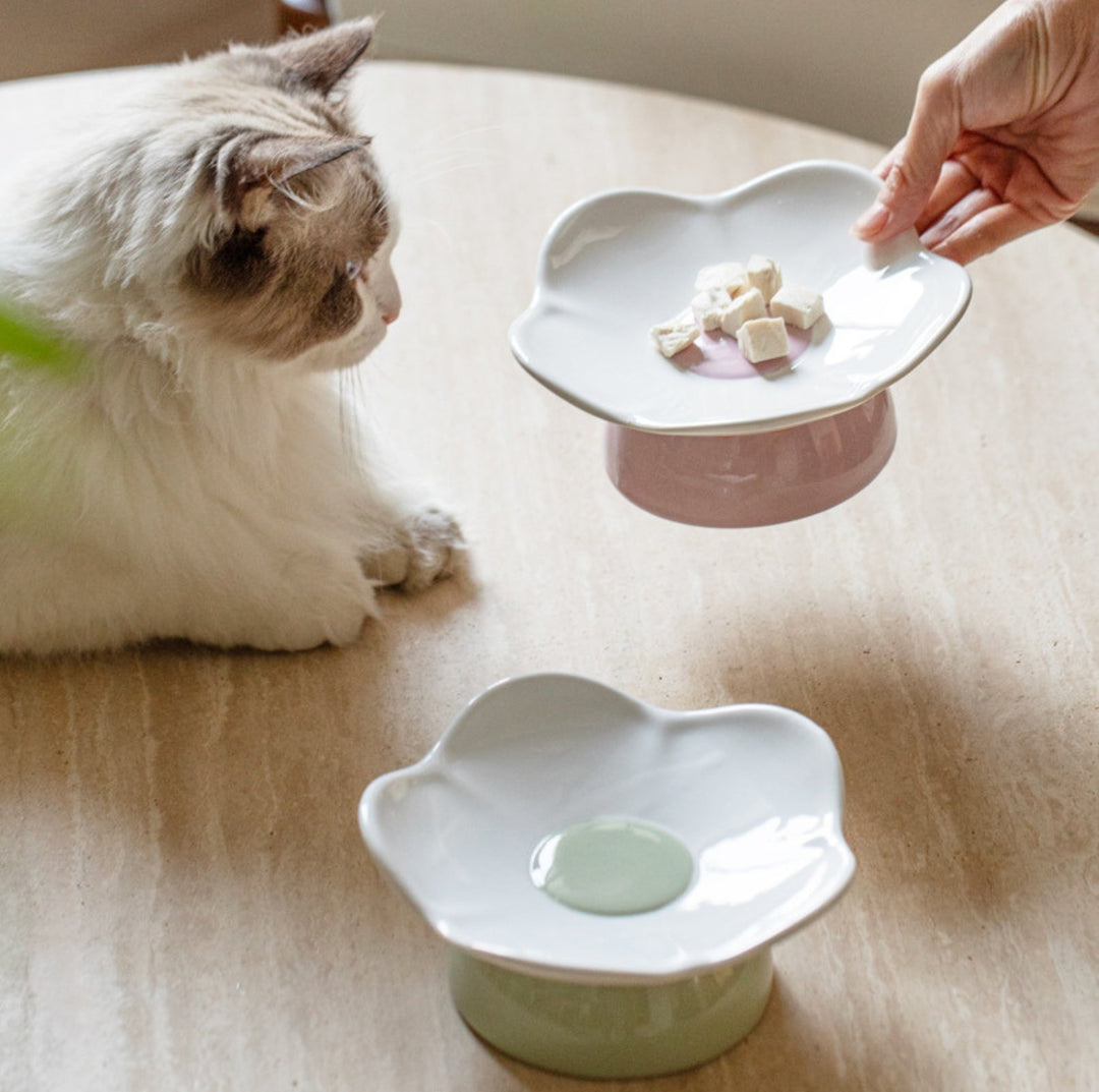 Sweet Flower Pet Ceramic Bowl