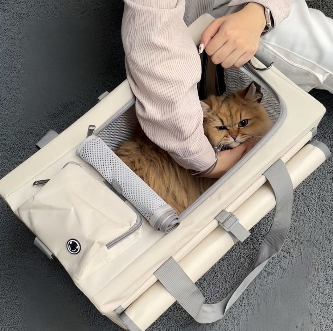 Oxford Boxy Pet Travel Tote Carrier for Cats &amp; Small Dogs