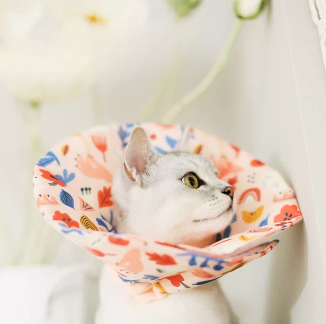 Soft Multi-Use E-Collar for Cats &amp; Small Dogs