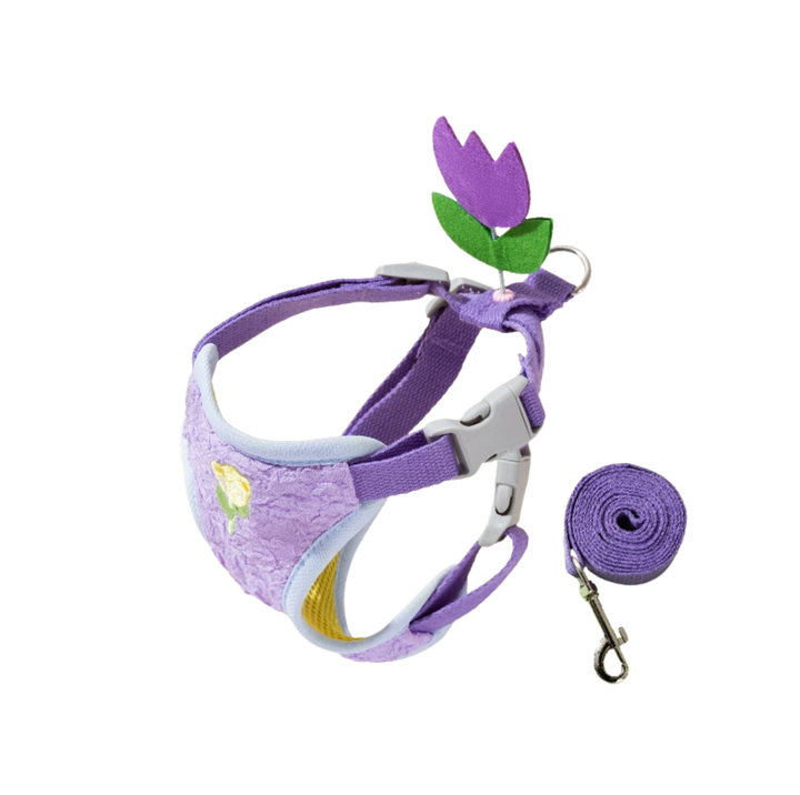 Vibrant Outdoor Pet Harness with Vest-Style Support