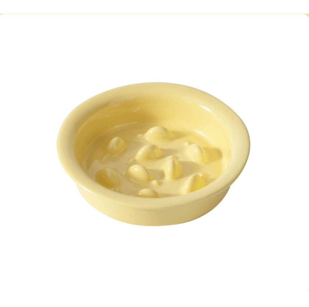 Little Fish Ceramic Slow Feeder Bowl for Cats &amp; Small Dogs