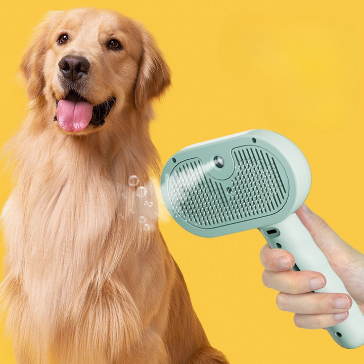 Premium pet brush with steam function