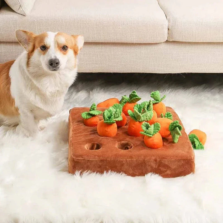 Interactive Sniffing Toy – Carrot Sniffing Garden
