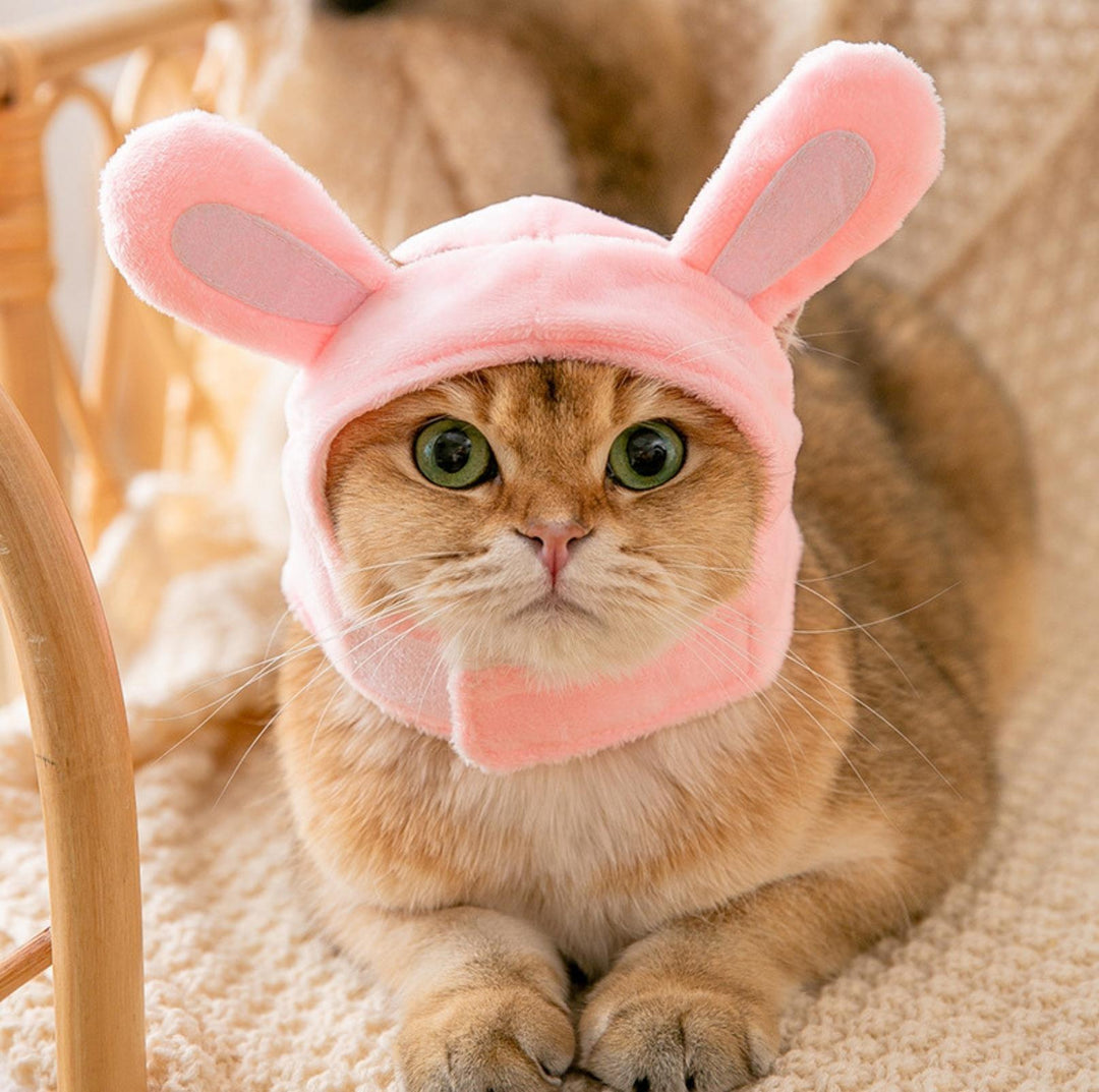 3D Cartoon Animal Velvet Pet Headdress for Festivals &amp; Parties