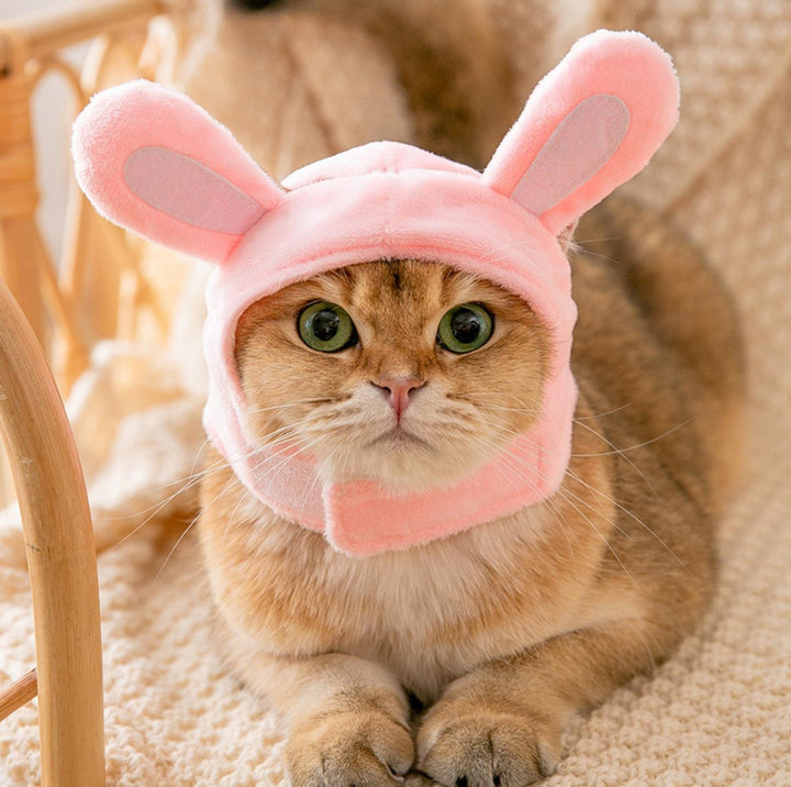 3D Cartoon Animal Velvet Pet Headdress for Festivals &amp; Parties