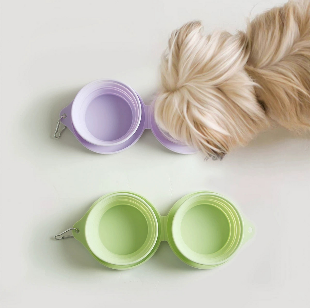 Silicone Foldable Double Pet Feeding Bowl - Portable &amp; Travel-Friendly